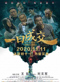 精品国产高清久久久久久小说